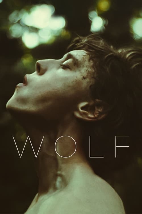 O Lobo poster