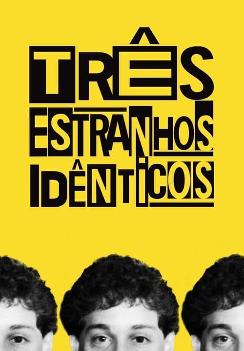 Três Estranhos Idênticos poster