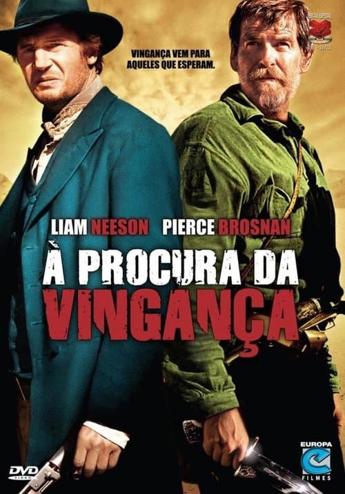 À Procura da Vingança poster