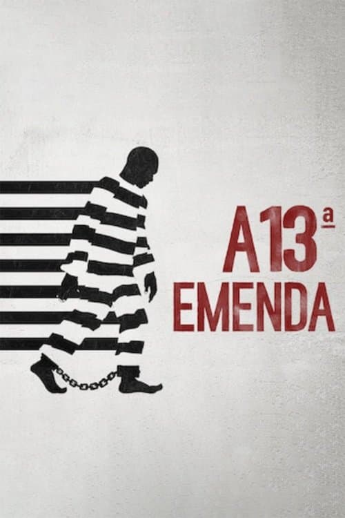 A 13ª Emenda poster