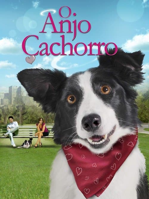 O Anjo Cachorro poster