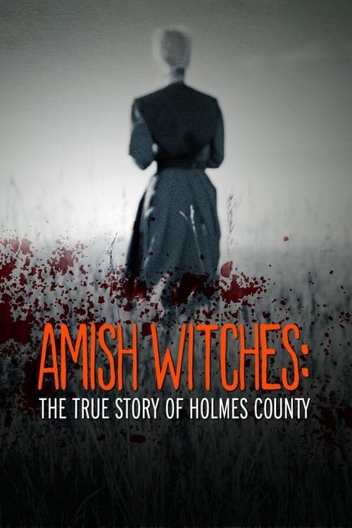 As Bruxas Amish poster