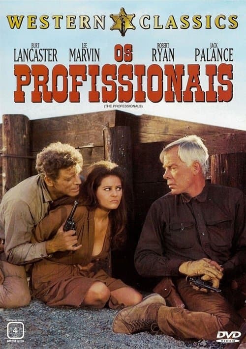 Os Profissionais poster