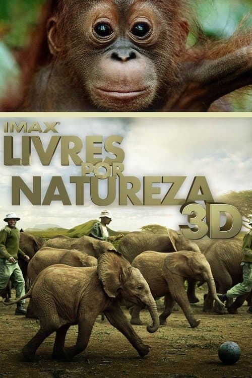 Livres por Natureza poster