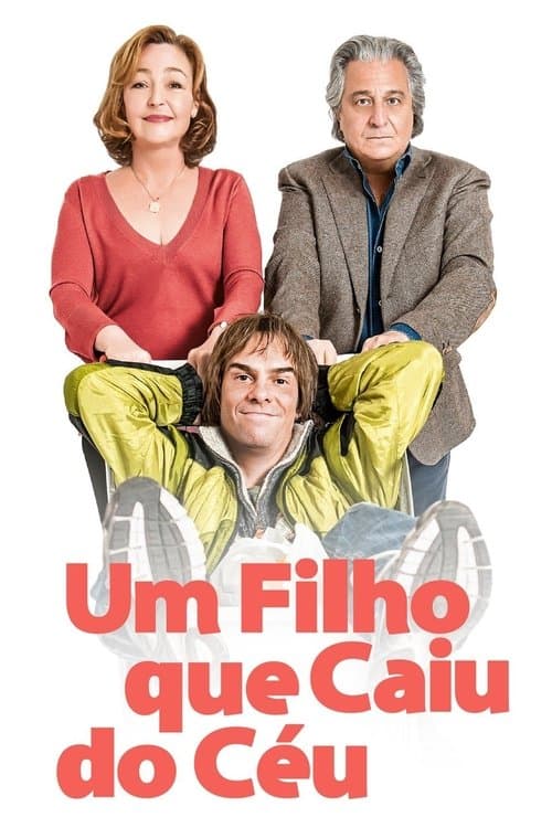Um Filho que Caiu do Céu poster