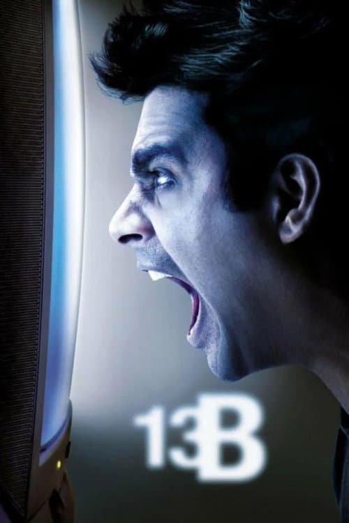 13B poster