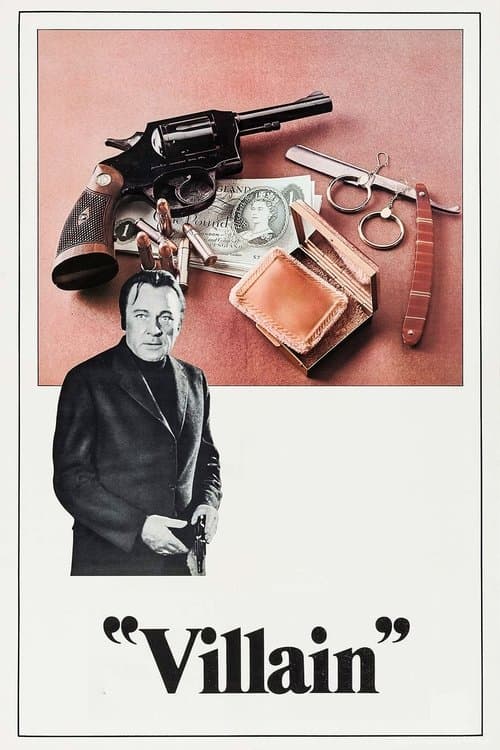 O Vilão poster