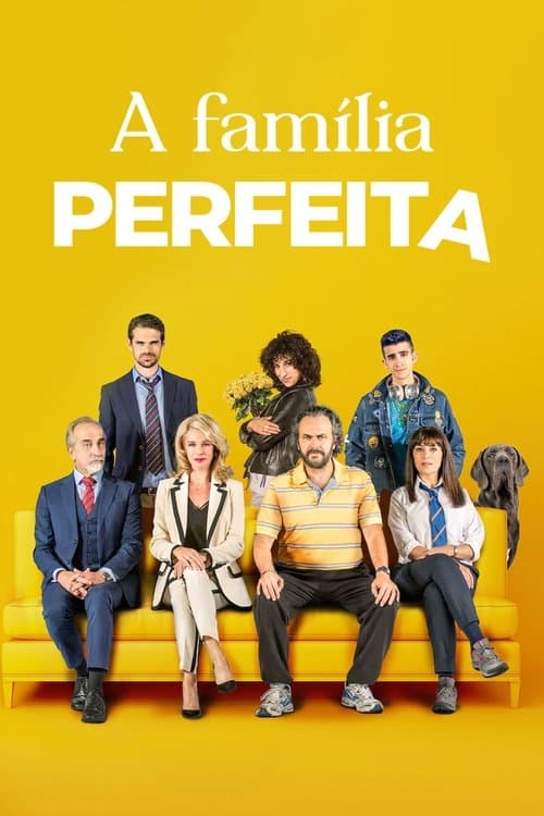 A Família Perfeita poster