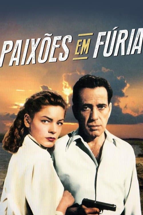 Paixões em Fúria poster