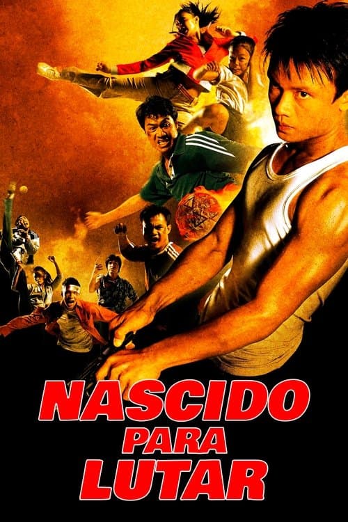 Nascido para Lutar poster