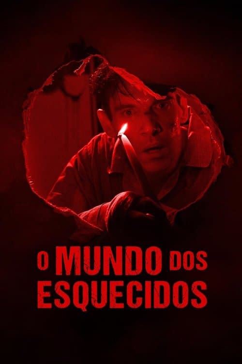 O Mundo dos Esquecidos poster