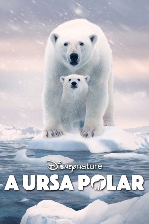 A Ursa Polar poster