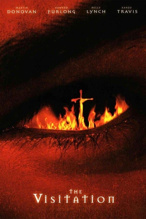 O Visitante poster