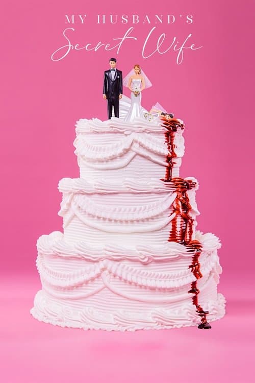 A Esposa Secreta do Meu Marido poster