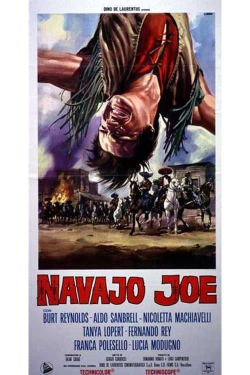 Joe, o Pistoleiro Implacável poster