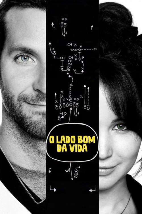 O Lado Bom da Vida poster