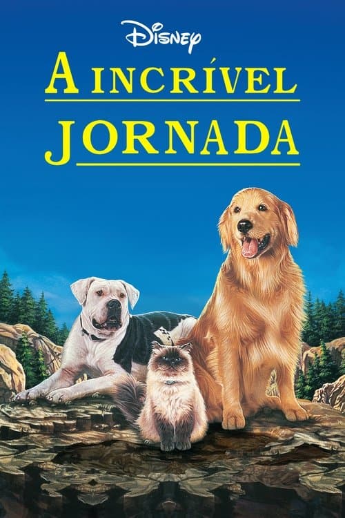 A Incrível Jornada poster