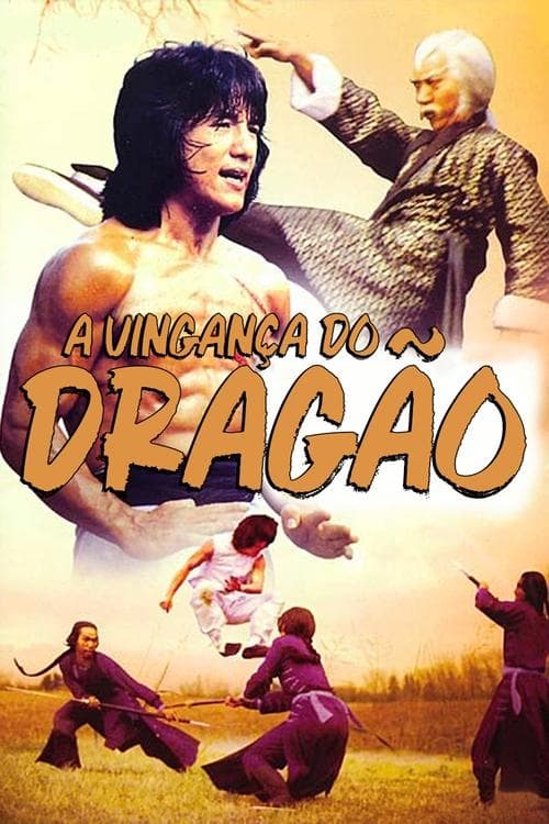 A Vingança do Dragão poster