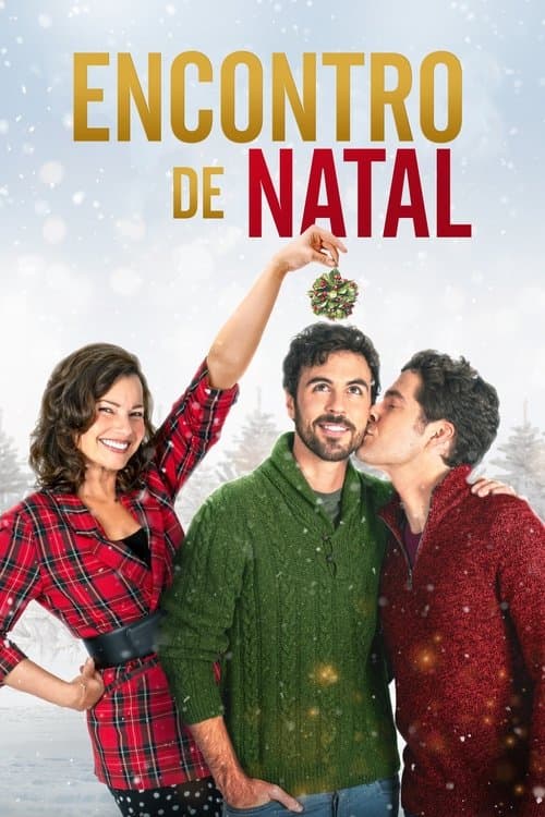 Encontro de Natal poster