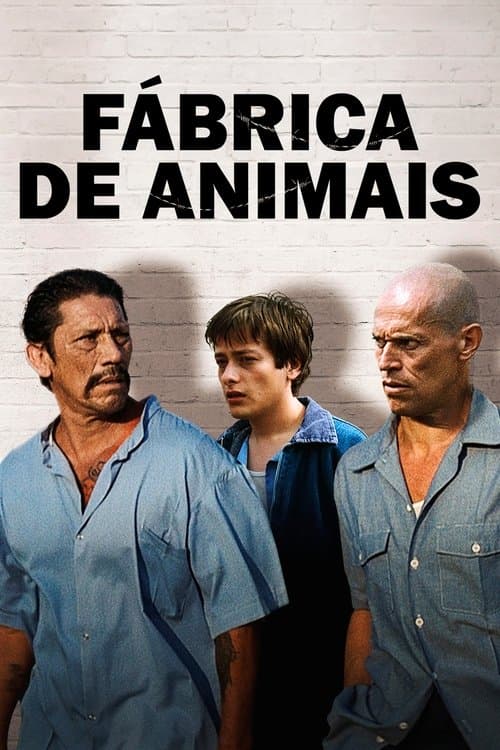 Fábrica de Animais poster