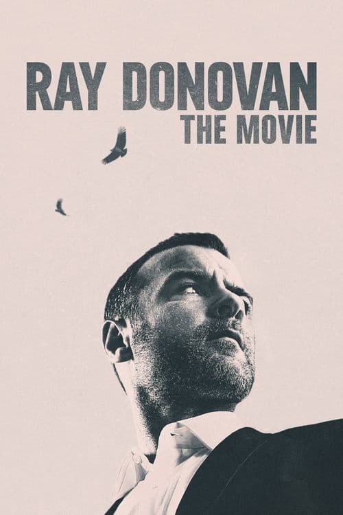 Ray Donovan: O Filme poster