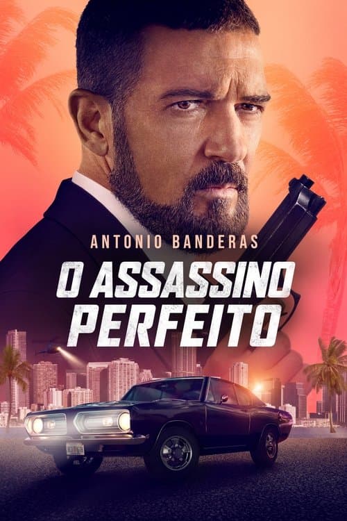 O Assassino Perfeito poster