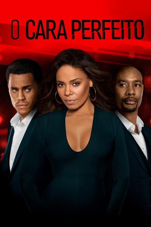 O Cara Perfeito poster