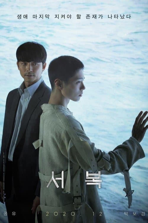 Seobok poster