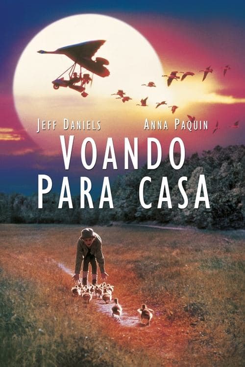Voando para Casa poster