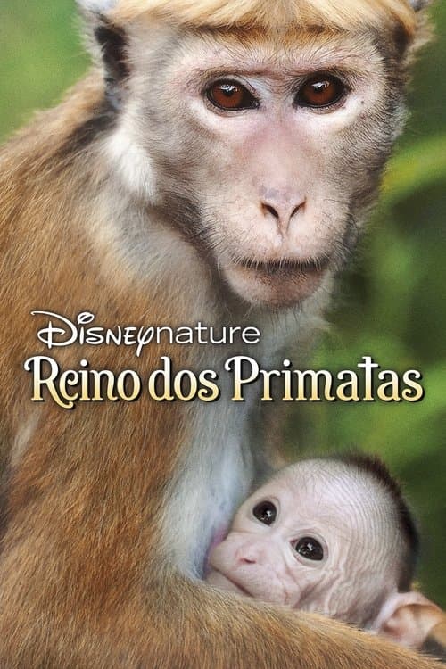 O Reino dos Primatas poster