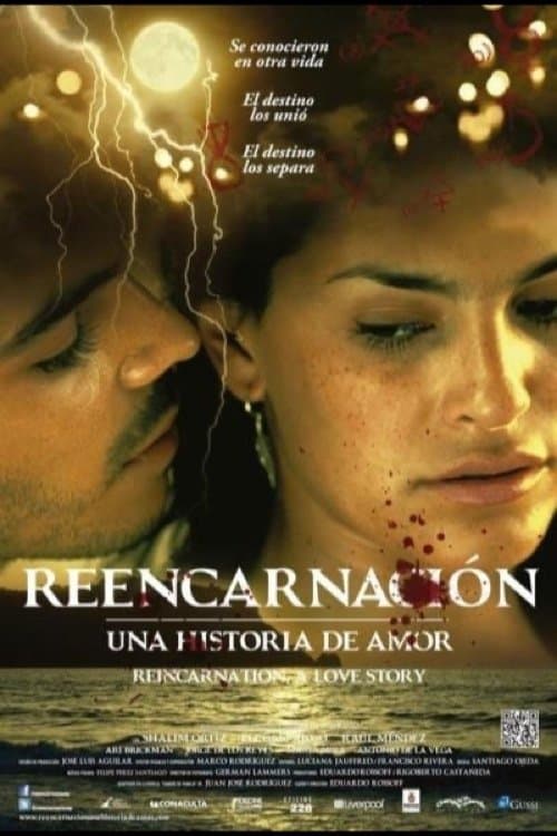 Reencarnación, Una historia de amor poster