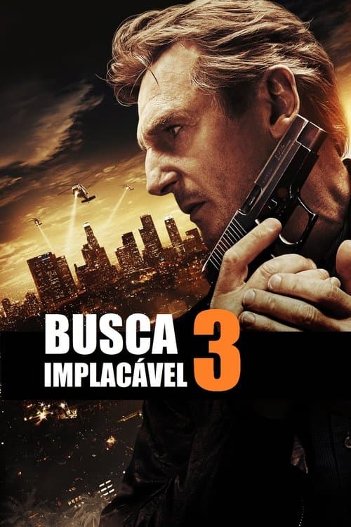 Busca Implacável 3 poster
