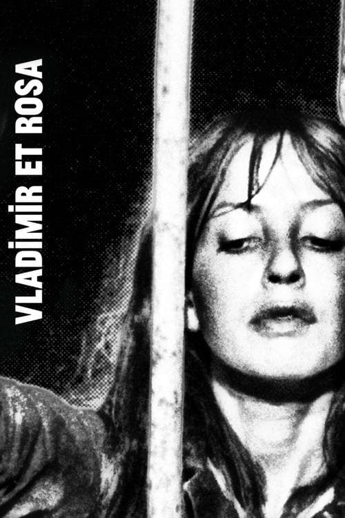 Vladimir e Rosa poster