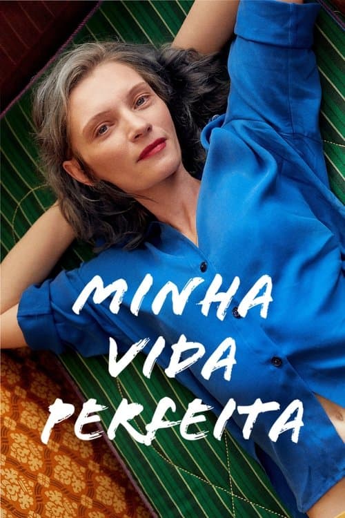 Minha Vida Perfeita poster