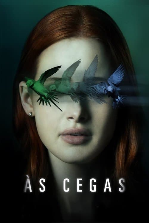 Às Cegas poster