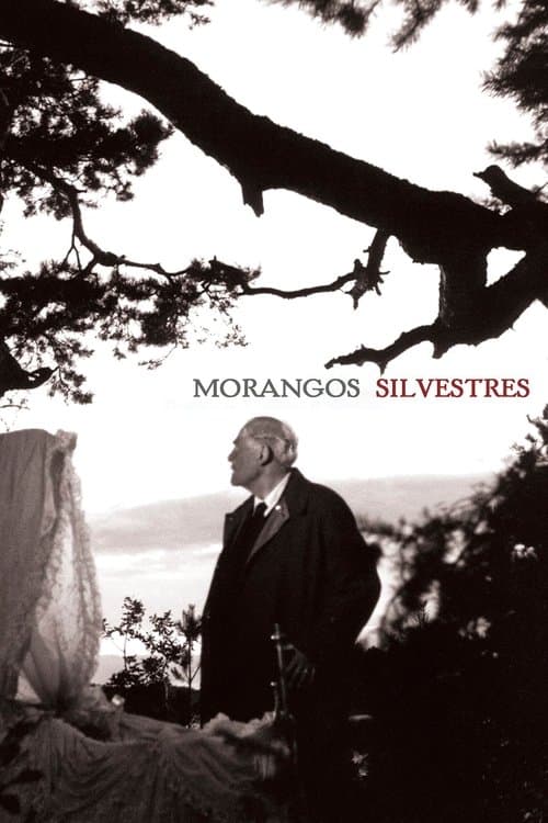 Morangos Silvestres poster