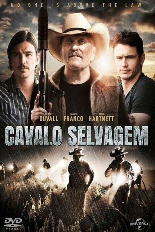 Cavalos Selvagens poster