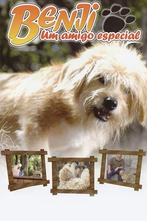 Benji, um Amigo Especial poster