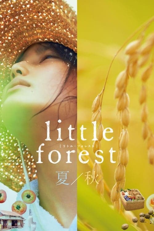 Pequena Floresta: Verão/Outono poster