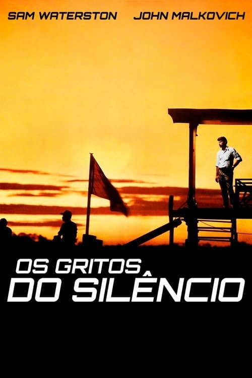Os Gritos do Silêncio poster