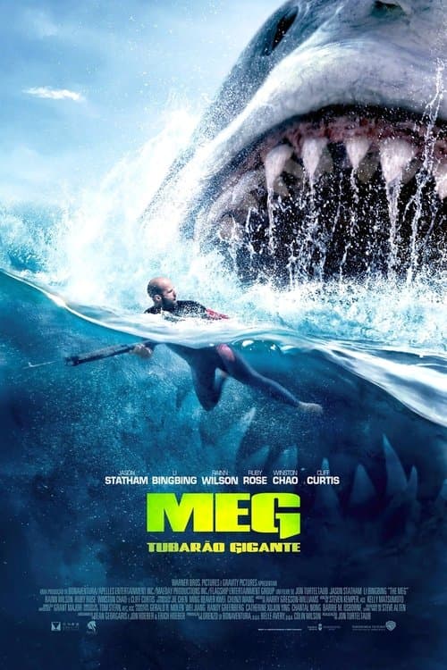 Megatubarão poster