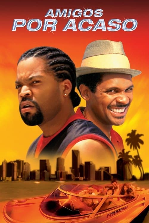 Amigos Por Acaso poster