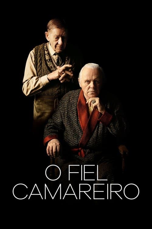 O Fiel Camareiro poster