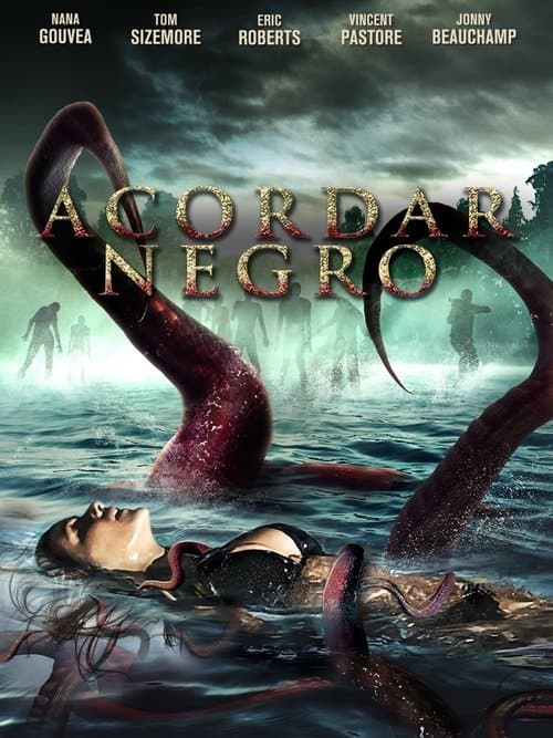 Acordar Negro poster