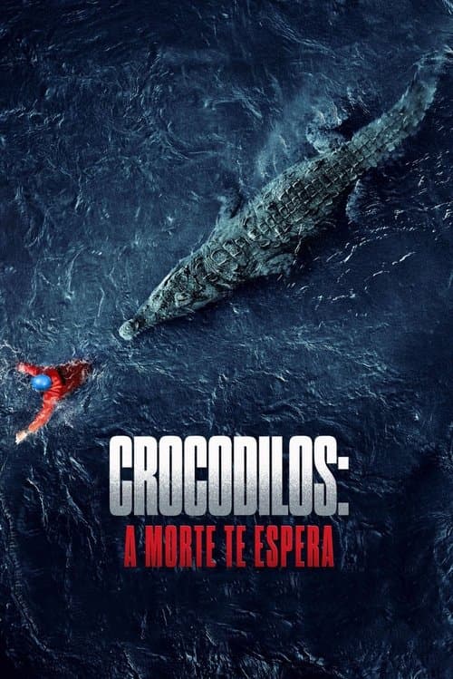 Crocodilos: A Morte Te Espera poster