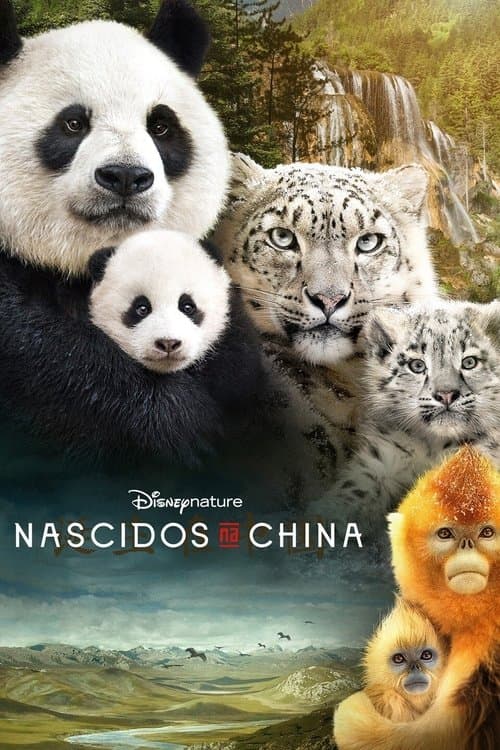 Nascidos na China poster