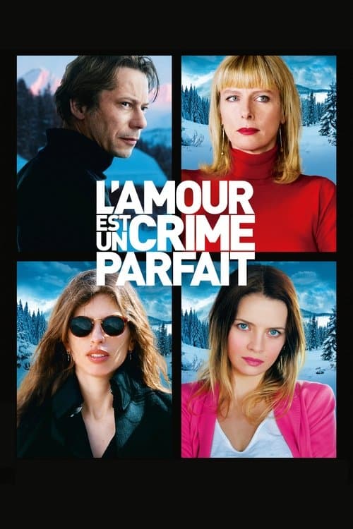 O Amor É um Crime Perfeito poster