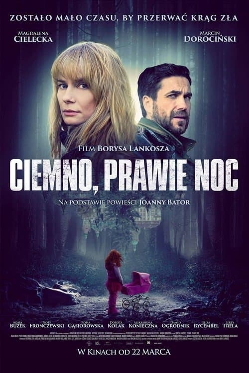 Ciemno, prawie noc poster
