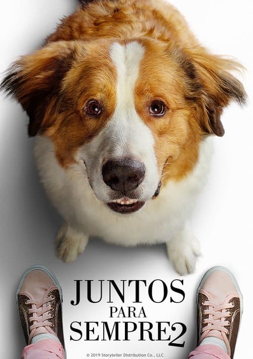Juntos para Sempre poster