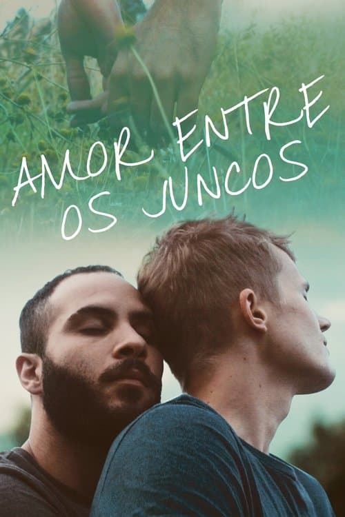 Amor Entre os Juncos poster